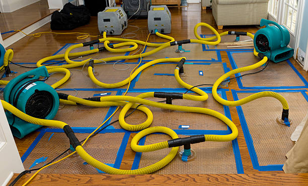 Professional Water Extraction technician working in Arcadia, OK